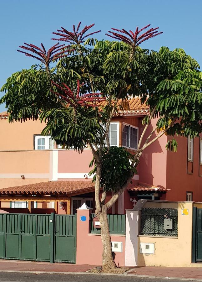 Rosas By Villas Rinamar Las Rosas  المظهر الخارجي الصورة