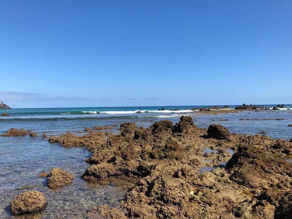 Rosas By Villas Rinamar Las Rosas  المظهر الخارجي الصورة